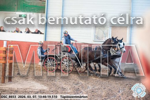 Mintakép 20260307-955