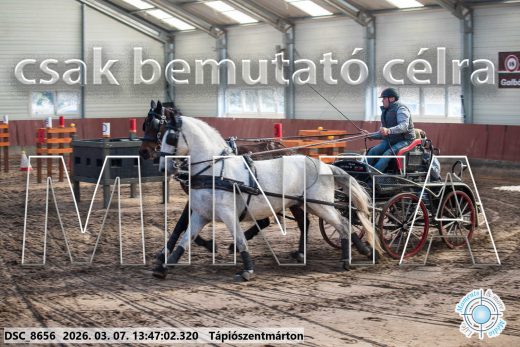 Mintakép 20260307-957