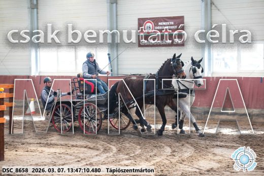 Mintakép 20260307-958