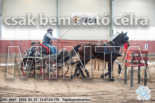 Mintakép 20260307-961