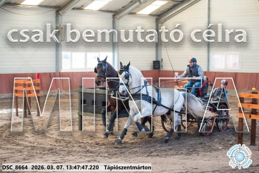 Mintakép 20260307-963