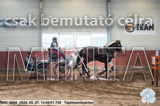 Mintakép 20260307-966