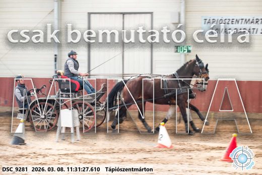 Mintakép 20260308-151