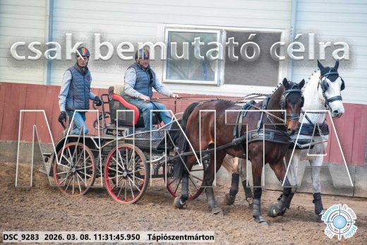 Mintakép 20260308-153