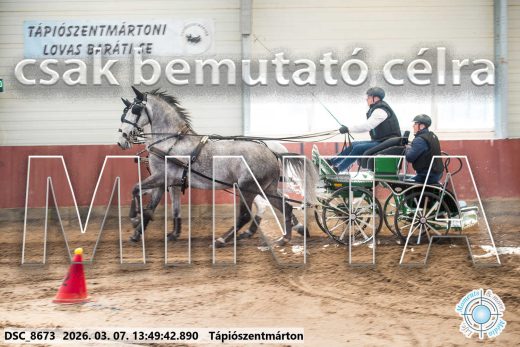 Mintakép 20260307-971