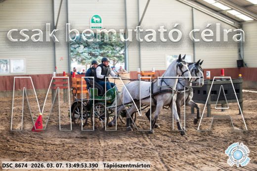 Mintakép 20260307-972