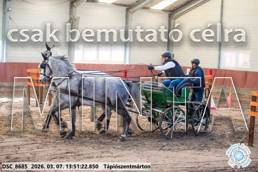 Mintakép 20260307-981