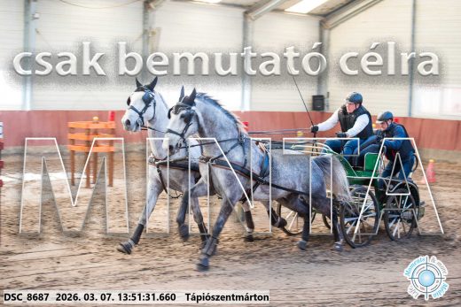 Mintakép 20260307-982