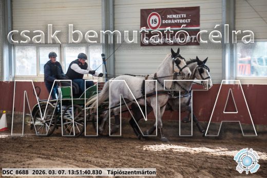 Mintakép 20260307-983