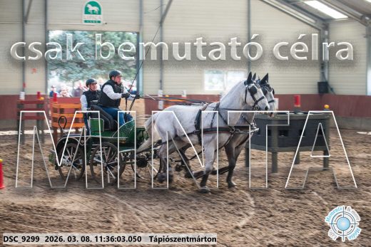 Mintakép 20260308-156