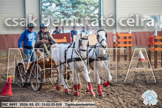 20260307-135235-DSC_8691.jpg