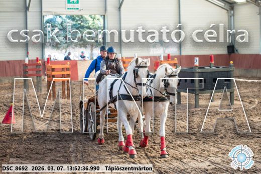 20260307-135236-DSC_8692.jpg