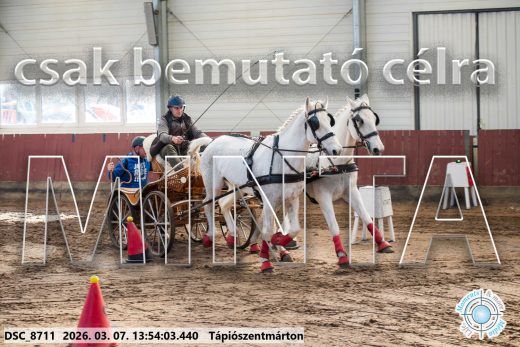 Mintakép 20260307-1000