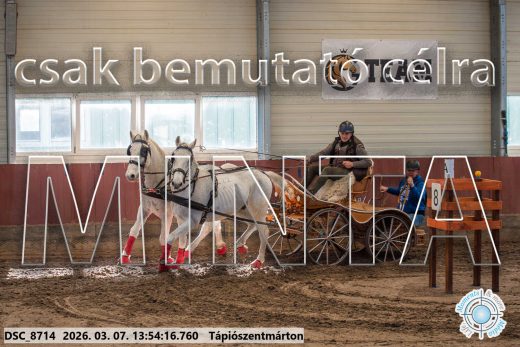 Mintakép 20260307-1002