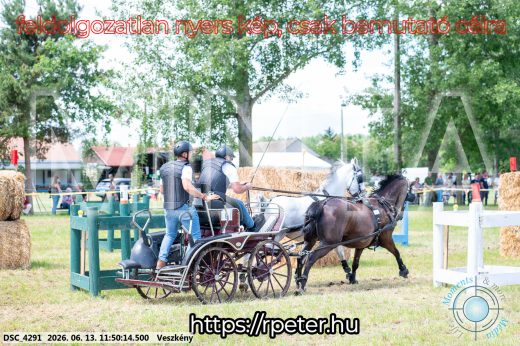 Mintakép 20260613-755