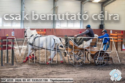 Mintakép 20260307-1011