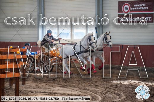 Mintakép 20260307-1014