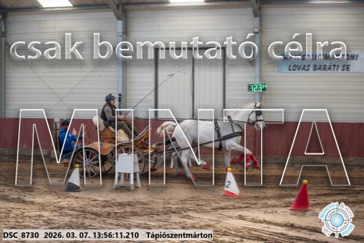 Mintakép 20260307-1016