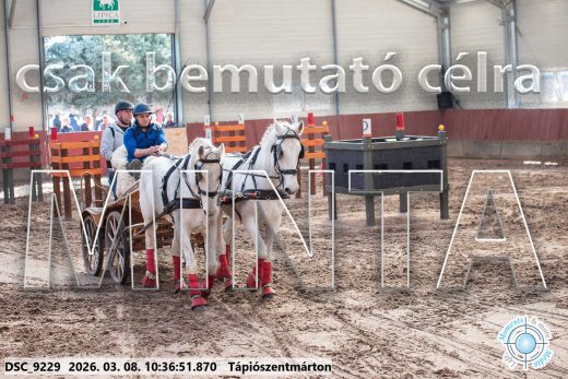 Mintakép 20260308-160