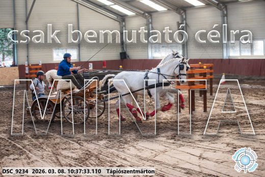 Mintakép 20260308-165