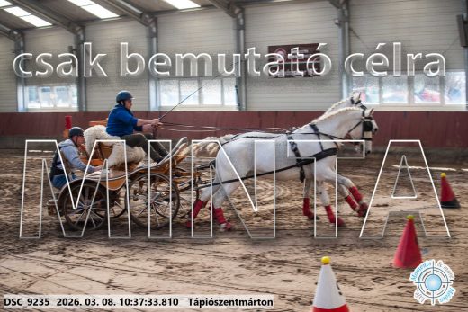 Mintakép 20260308-166