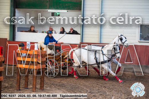 Mintakép 20260308-168