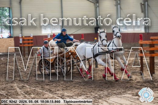 Mintakép 20260308-173