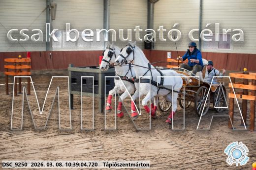 Mintakép 20260308-180