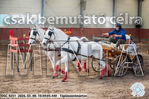 Mintakép 20260308-181