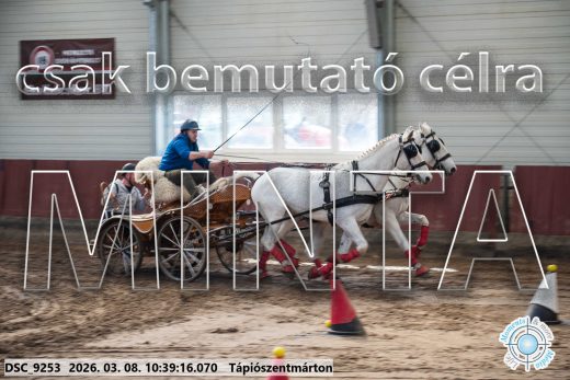 Mintakép 20260308-182