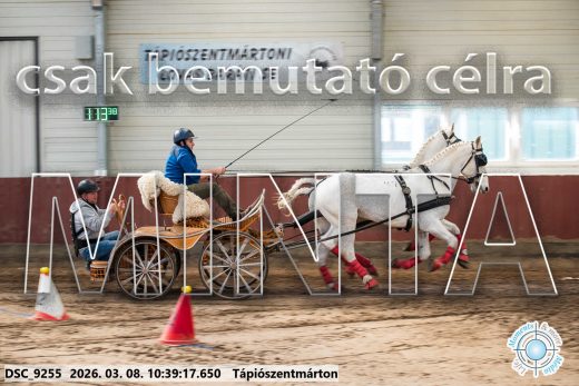 Mintakép 20260308-184