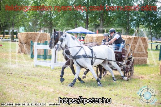 Mintakép 20260613-759