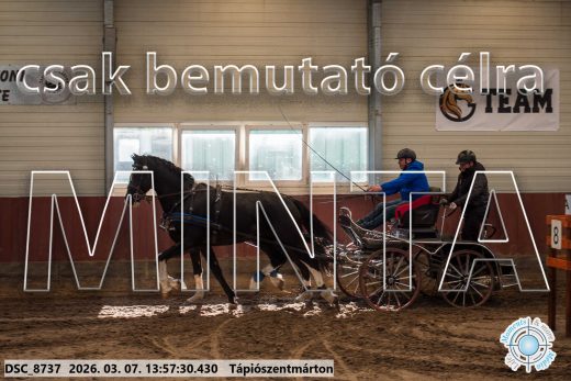 Mintakép 20260307-1022