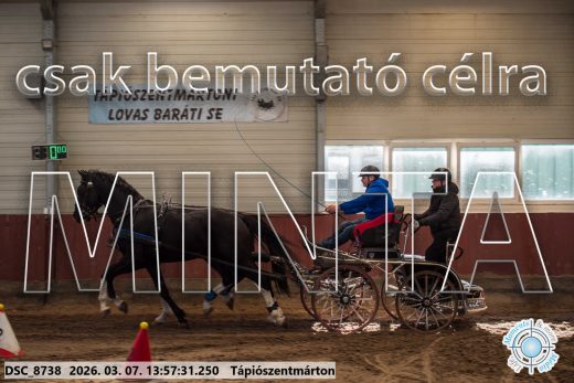Mintakép 20260307-1023