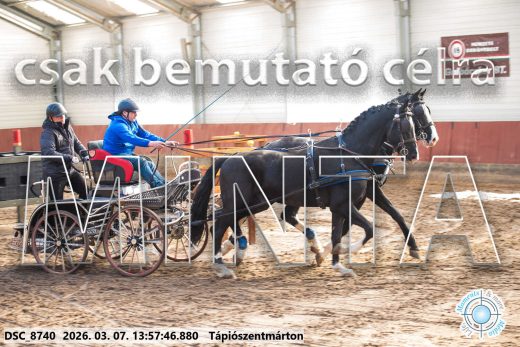 Mintakép 20260307-1025