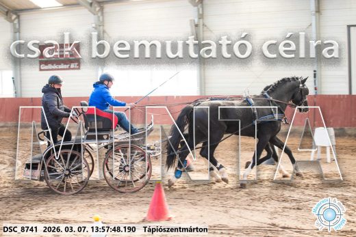 Mintakép 20260307-1026