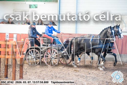 Mintakép 20260307-1027