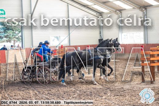 Mintakép 20260307-1029