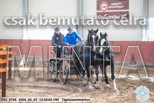 Mintakép 20260307-1031