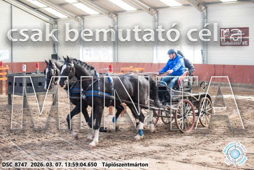 Mintakép 20260307-1032