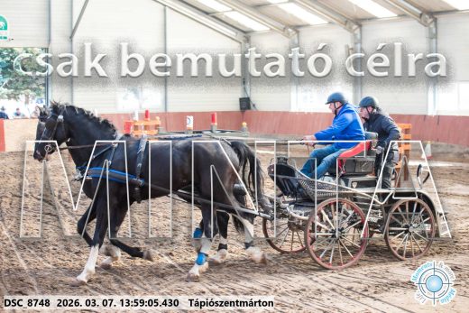 Mintakép 20260307-1033