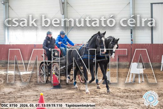 Mintakép 20260307-1035