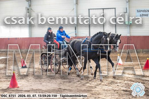 Mintakép 20260307-1036