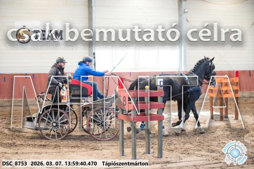 Mintakép 20260307-1038
