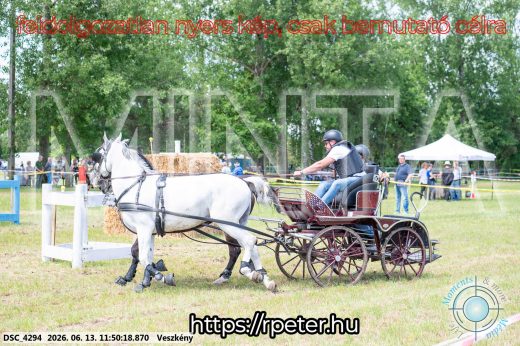 Mintakép 20260613-761