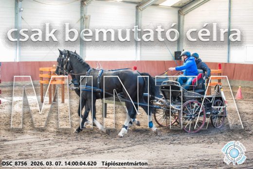 Mintakép 20260307-1041