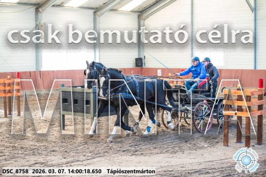Mintakép 20260307-1042