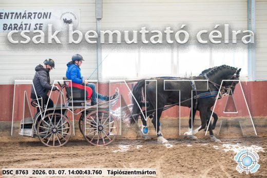 Mintakép 20260307-1046