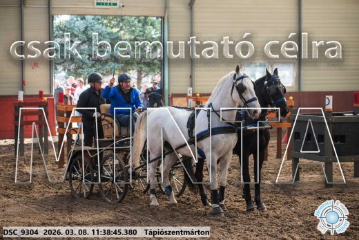 Mintakép 20260308-186