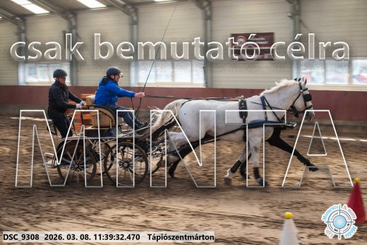 Mintakép 20260308-190